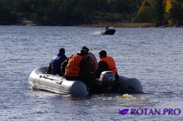 Ротан Р 380 К